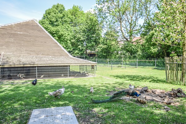 Medium property photo - De Terp 10, 5221 AK 's-Hertogenbosch